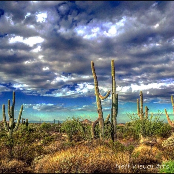 Meet your Posher, Debra - Picture 3 of 3